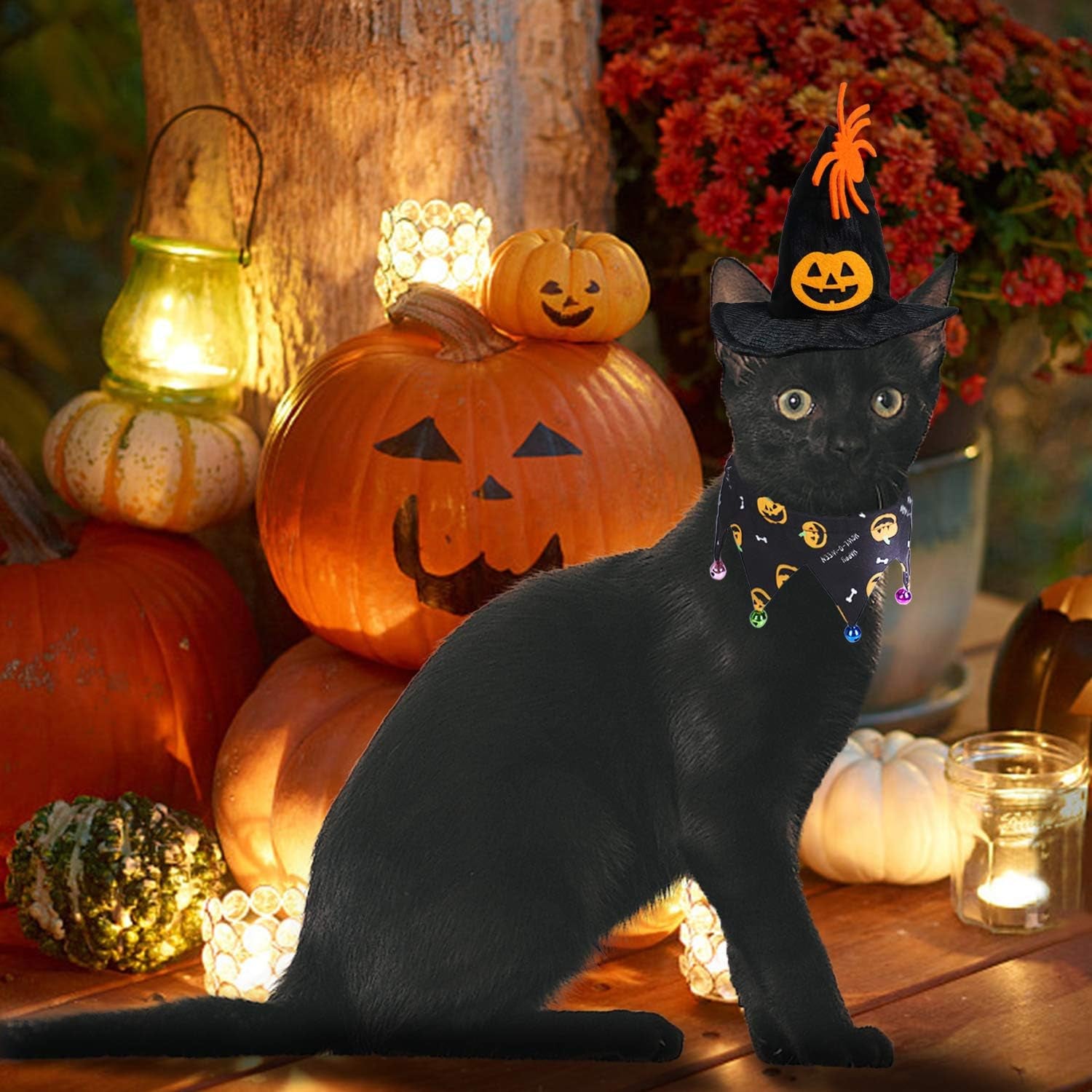 Cat Halloween Costume Halloween Cat Collar with Bells and Halloweens Pumpkin Hat Cats Costume Suit for Cats and Small Dogs
