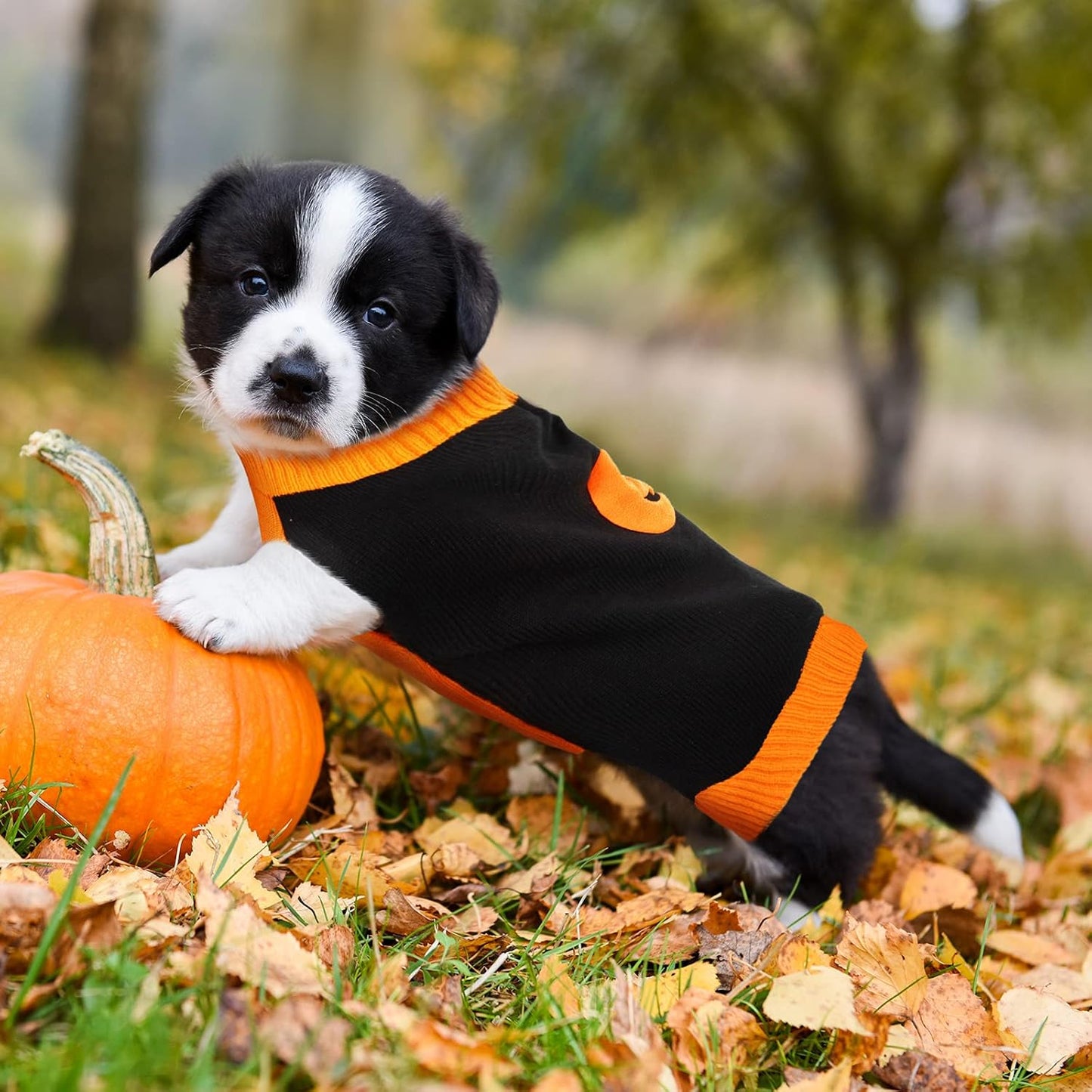 2 Pieces Halloween Puppy Sweaters Knitted Pet Cat Sweater Winter Pet Clothes Warm Dog Sweatshirt for Small Medium Pet Dog Sweater Apparel (S)