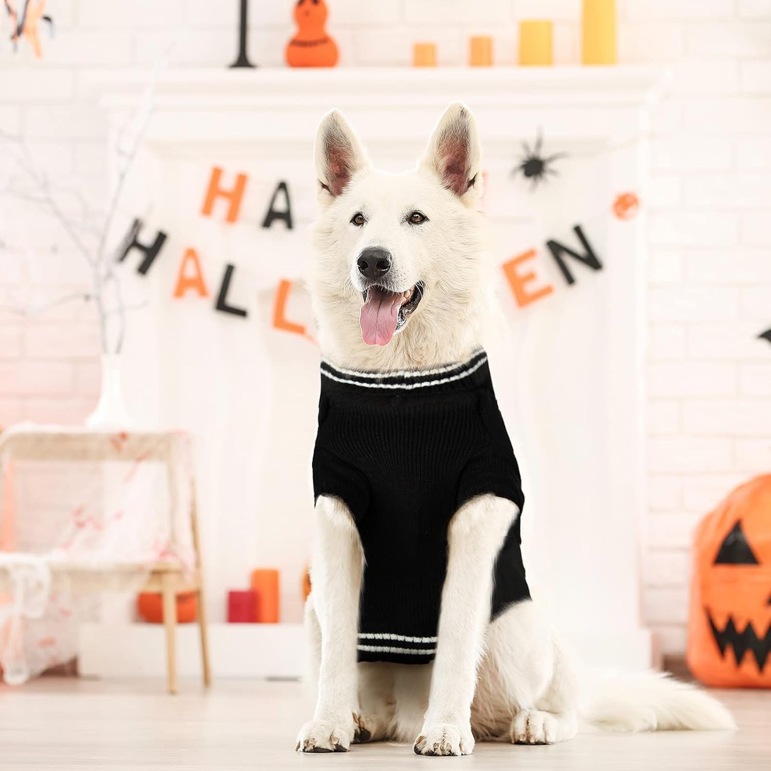 2 Pieces Halloween Puppy Sweaters Knitted Pet Cat Sweater Winter Pet Clothes Warm Dog Sweatshirt for Small Medium Pet Dog Sweater Apparel (S)