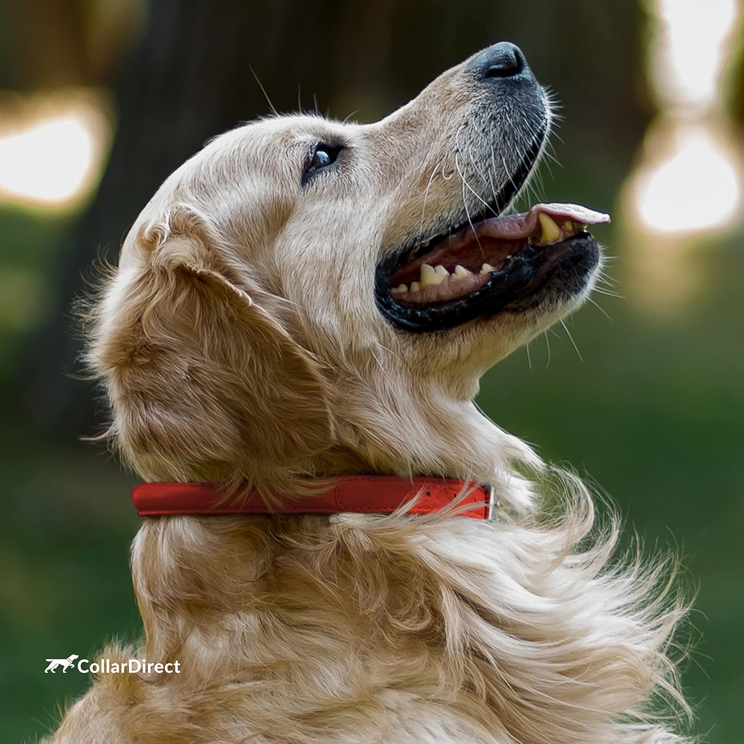 Rolled Leather Dog Collar, Soft Padded round Puppy Collar, Handmade Genuine Leather Collar Dog Small Large Cat Collars 13 Colors (11-14 Inch, Red Textured)