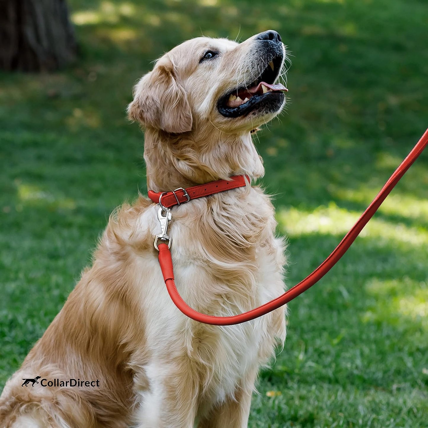 Rolled Leather Dog Collar, Soft Padded round Puppy Collar, Handmade Genuine Leather Collar Dog Small Large Cat Collars 13 Colors (11-14 Inch, Red Textured)