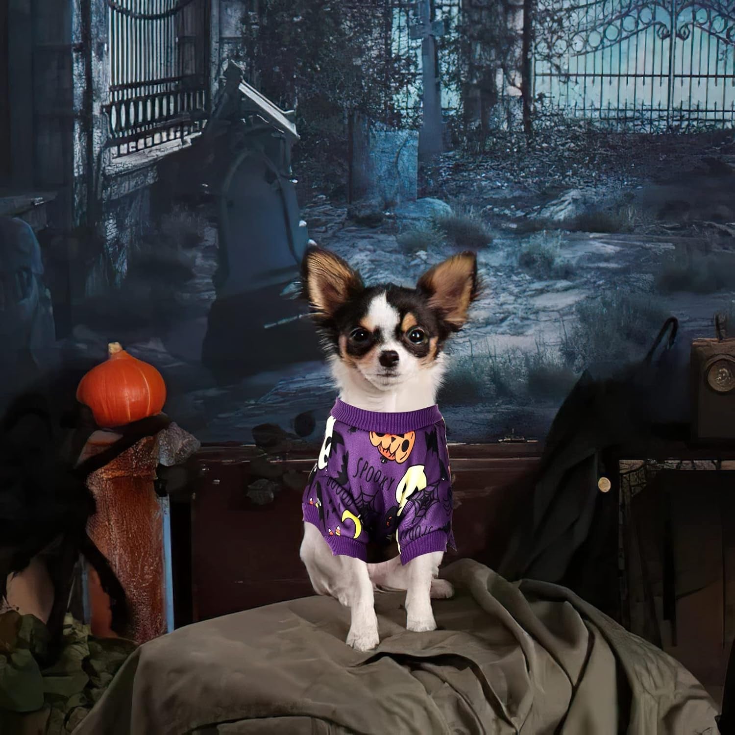 Dog Halloween Costumes, Dog Skeleton Costume, Dog Halloween Pajamas Cat Pajamas Onesie  Pet Dog Jumpsuit Clothes Outfit Puppy Bodysuit Skull Pumpkin (Small)