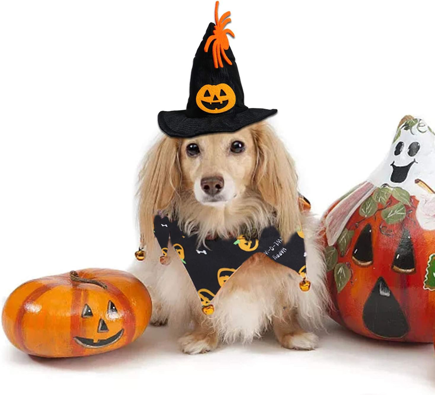 Cat Halloween Costume Halloween Cat Collar with Bells and Halloweens Pumpkin Hat Cats Costume Suit for Cats and Small Dogs