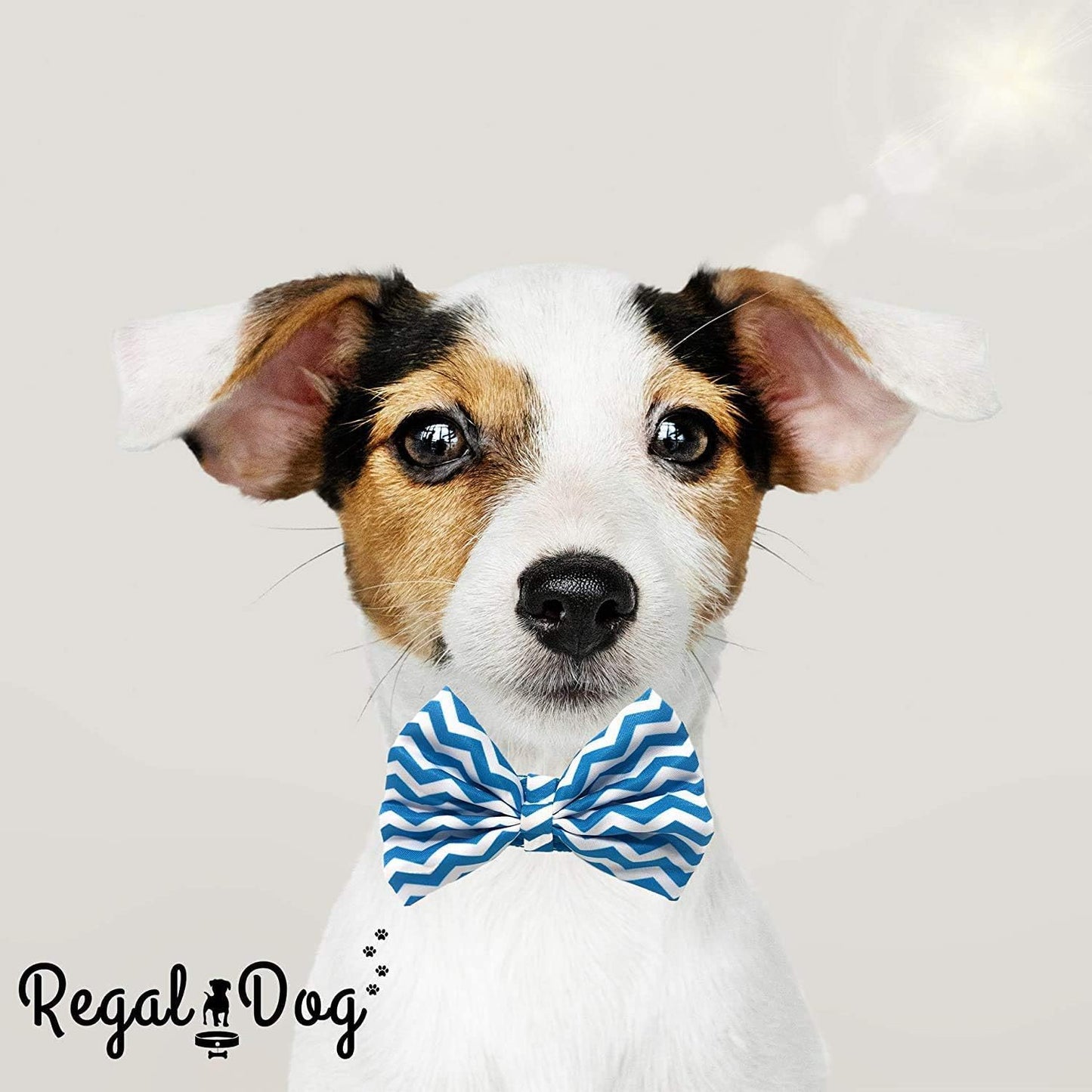 Cool Bowtie Collar | Custom Fit for XS, Small, Medium, Large Dog, Cat, & Puppy | Fun Birthday Idea โ Tux Dog | Multiple Colors | Large (18 to 24 Inches), Teal/White Chevron