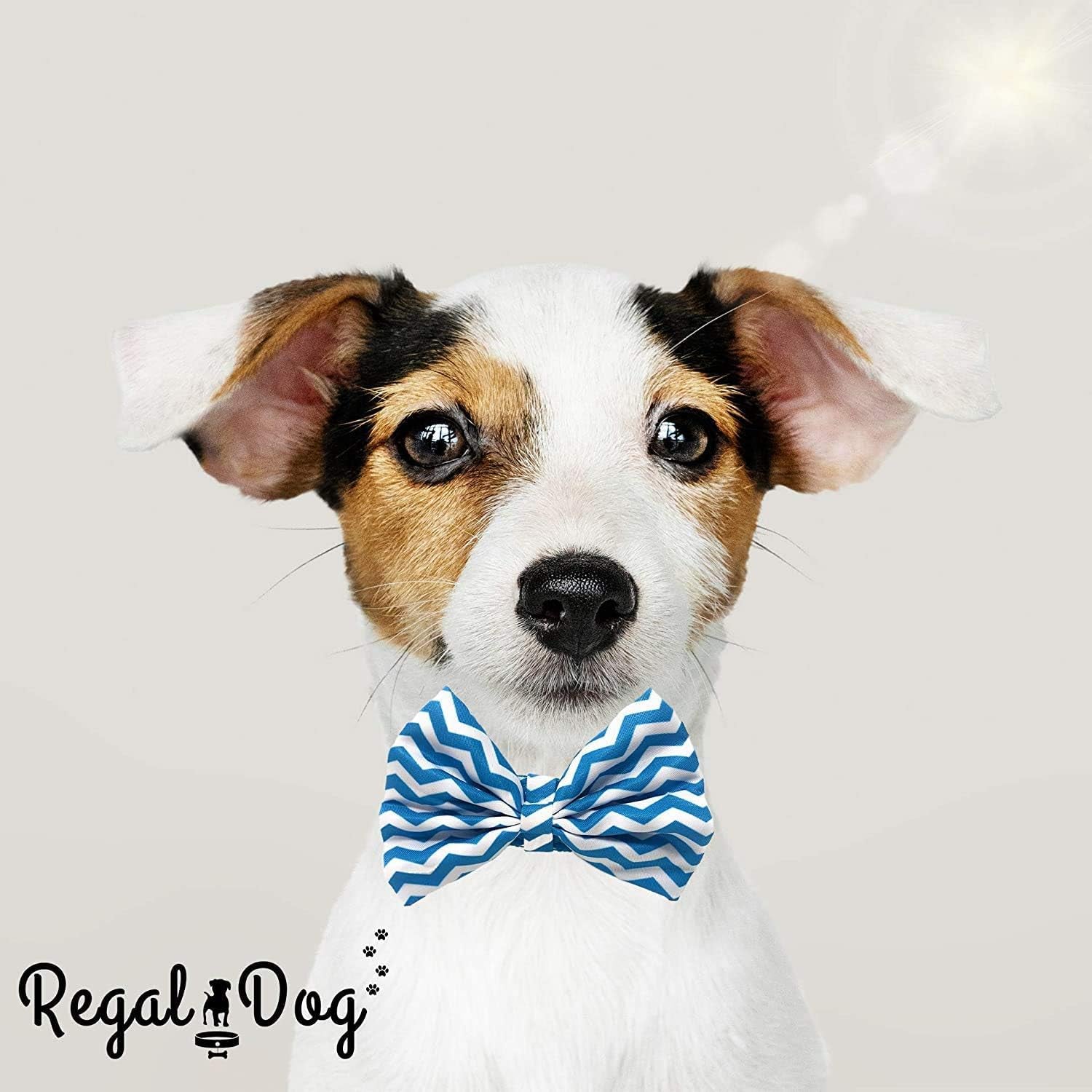Cool Bowtie Collar | Custom Fit for XS, Small, Medium, Large Dog, Cat, & Puppy | Fun Birthday Idea โ Tux Dog | Multiple Colors | Large (18 to 24 Inches), Teal/White Chevron