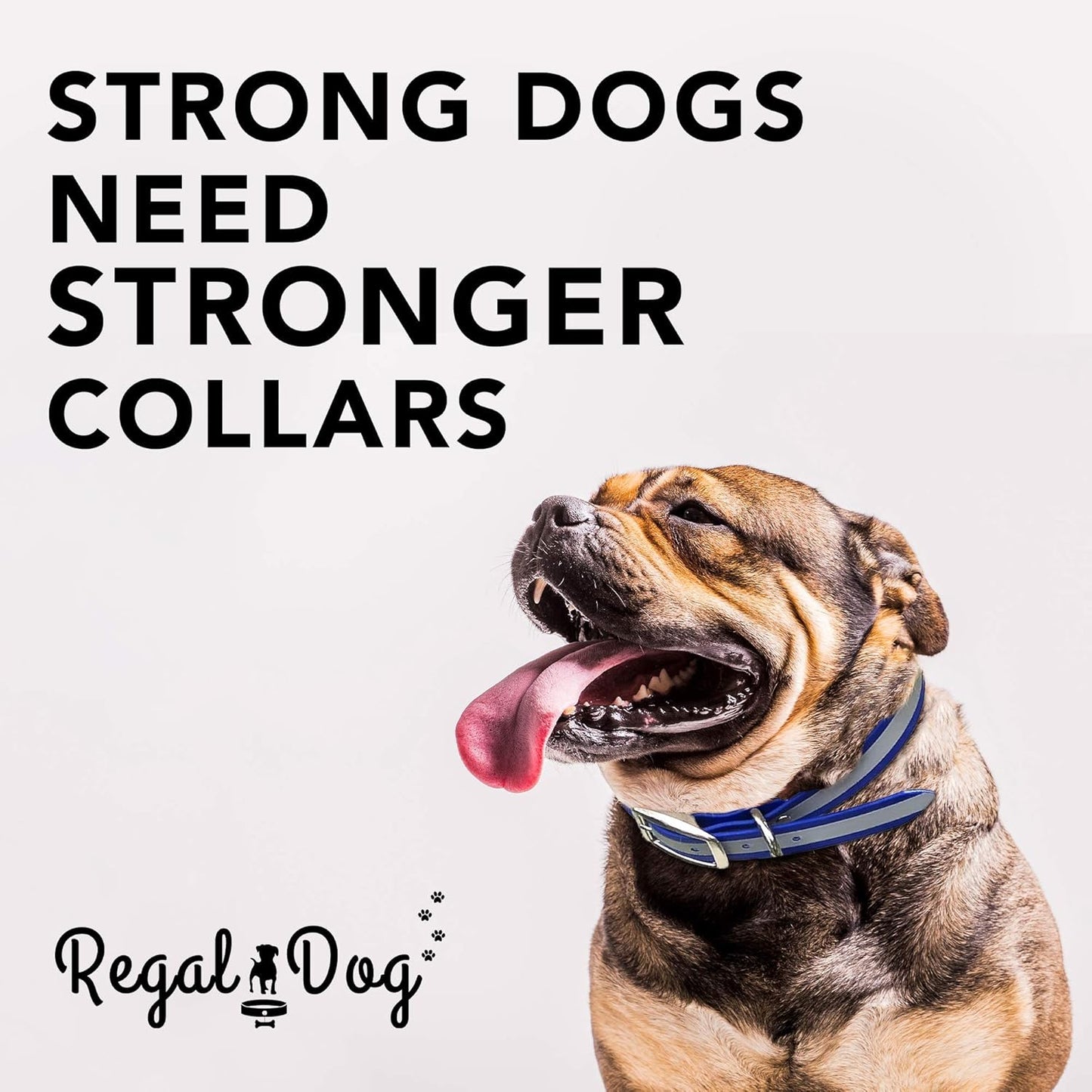 Large Blue Heavy Duty Reflective Dog Collar with Durable Metal Buckle and D Ring Adjustable, Chew Proof & Waterproof Center Ring | Strong Small Dog Collar
