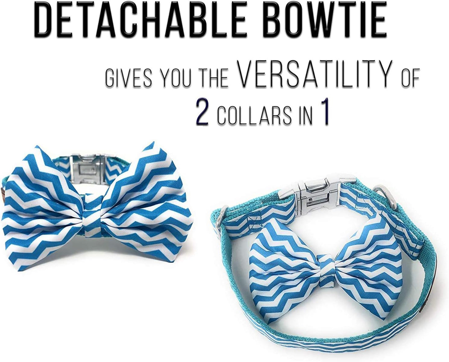 Cool Bowtie Collar | Custom Fit for XS, Small, Medium, Large Dog, Cat, & Puppy | Fun Birthday Idea โ Tux Dog | Multiple Colors | Large (18 to 24 Inches), Teal/White Chevron