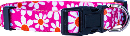 Flower Dog Collar, Adjustable Small Medium Large, Cute Girl Female Summer Spring Pretty Designer Puppy Essentials Accessories, Pink Floral Blue Daisy Rose (Small, Pink Daisy)