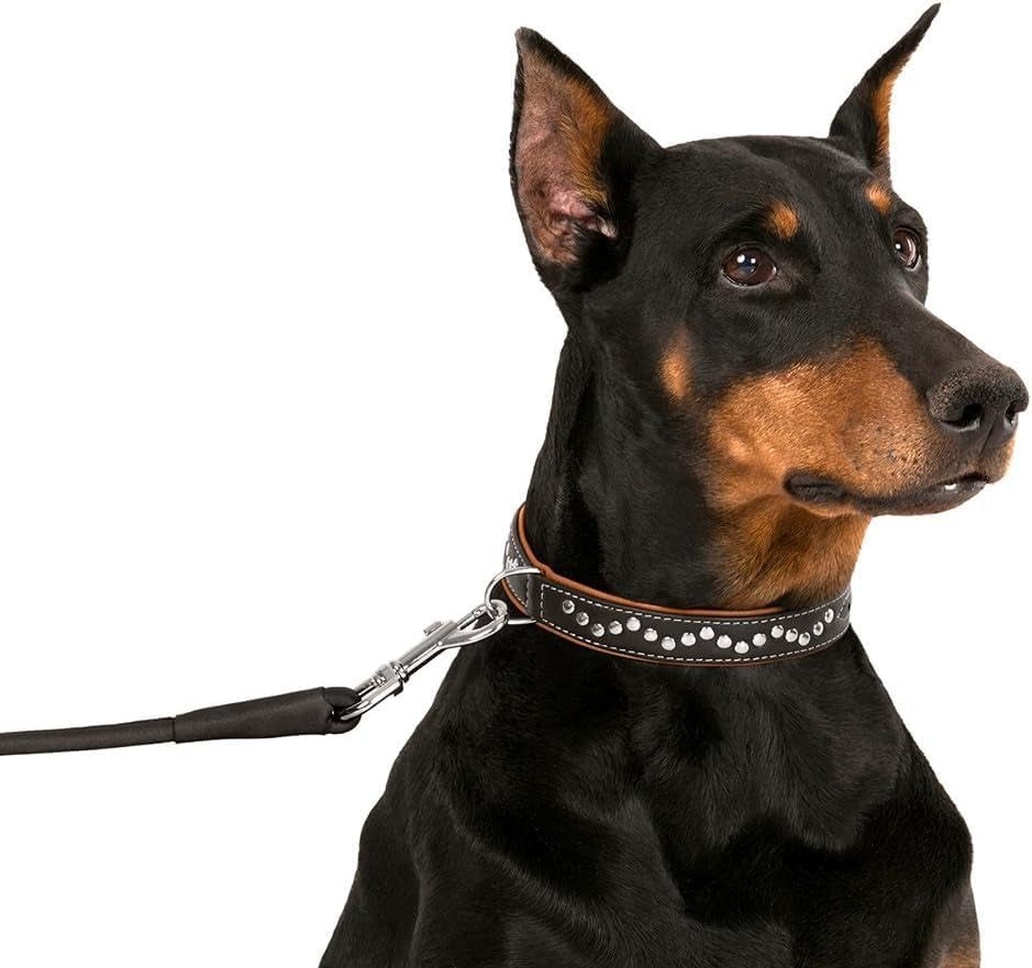 Studded Dog Collar Leather Pet Collars for Dogs Small Medium Large Puppy Soft Padded Brown Black (Brown, Neck Fit 11" - 13")