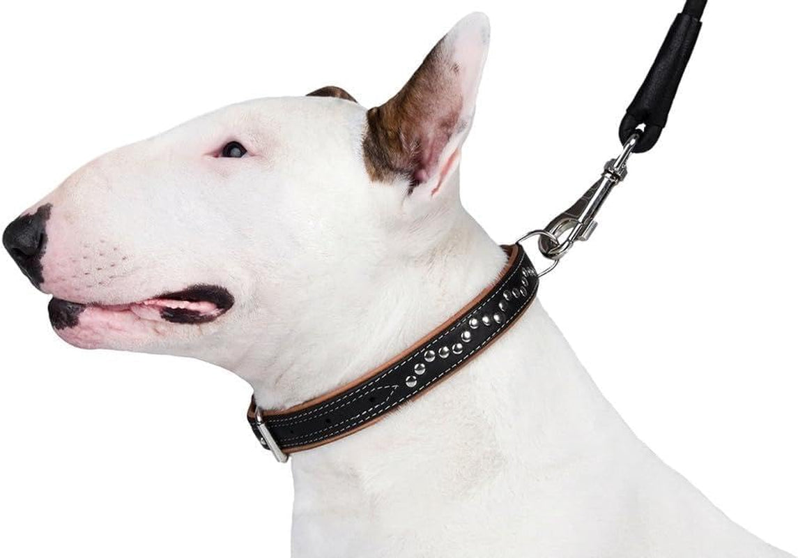 Studded Dog Collar Leather Pet Collars for Dogs Small Medium Large Puppy Soft Padded Brown Black (Brown, Neck Fit 11" - 13")