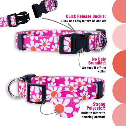 Flower Dog Collar, Adjustable Small Medium Large, Cute Girl Female Summer Spring Pretty Designer Puppy Essentials Accessories, Pink Floral Blue Daisy Rose (Small, Pink Daisy)