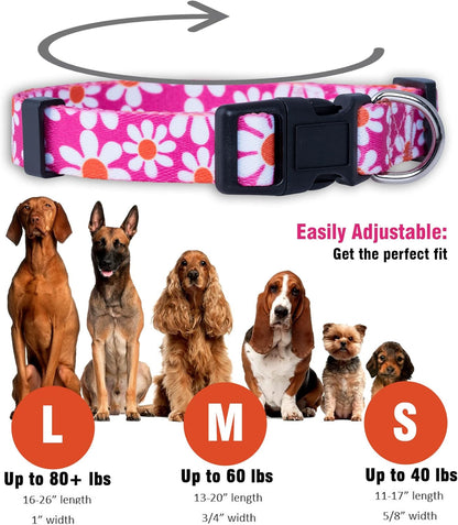 Flower Dog Collar, Adjustable Small Medium Large, Cute Girl Female Summer Spring Pretty Designer Puppy Essentials Accessories, Pink Floral Blue Daisy Rose (Small, Pink Daisy)