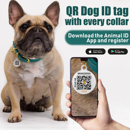 Leather Dog Collar with Metal Buckle Durable Basic Pet Collars for Small Medium Large Dogs (14-17 Inch (Pack of 1), Green & Gold Buckle)